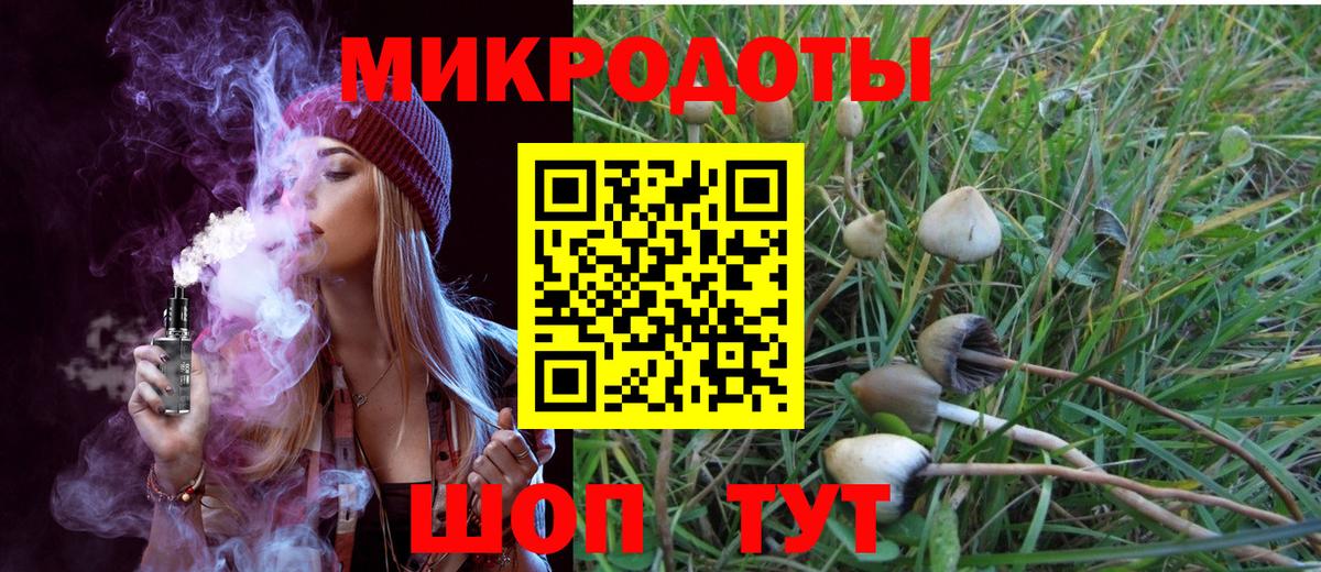 Галлюциногенные грибы мухоморы  Псилоцибиновые грибы ЛСД  цена наркотик  Вход с VPN  Октябрьский 