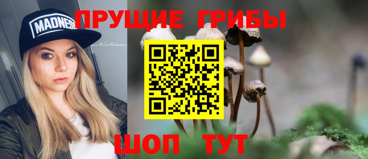 Галлюциногенные грибы GOLDEN TEACHER Октябрьский